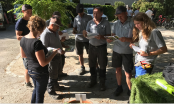 Salath&eacute; Rentzel Gartenkultur